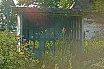 dunil31.jpg