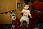 ig16_08.jpg