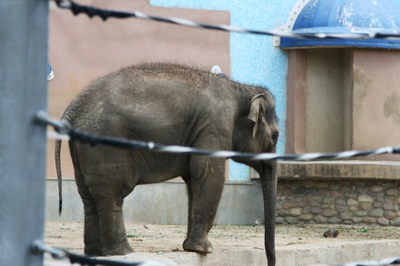moszoo10.jpg