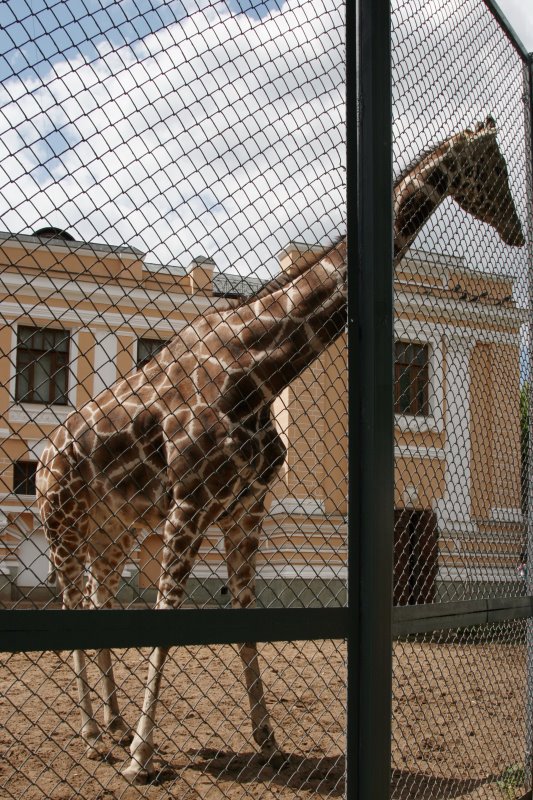 moszoo20.jpg