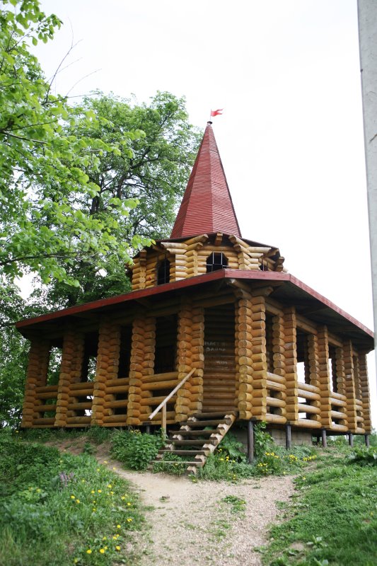 ruza19.jpg