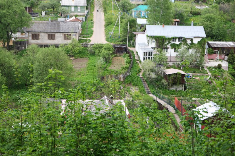 ruza21.jpg