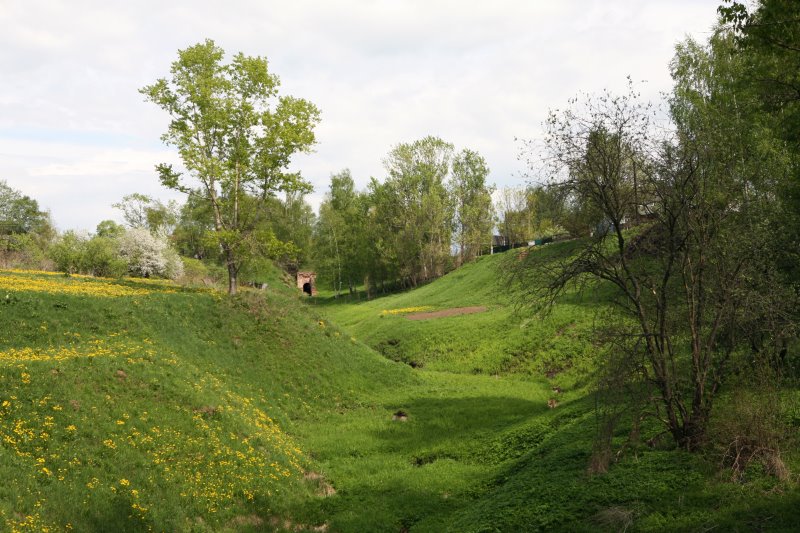tutaevrm22.jpg