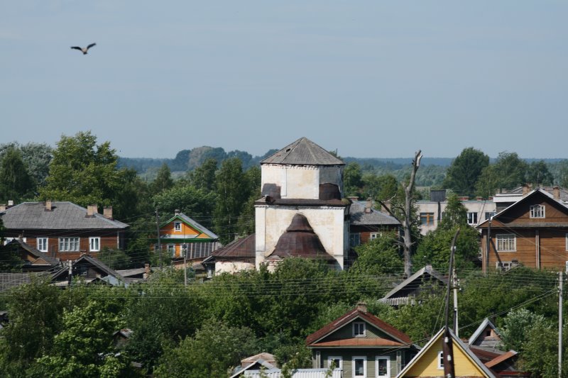belozer19.jpg