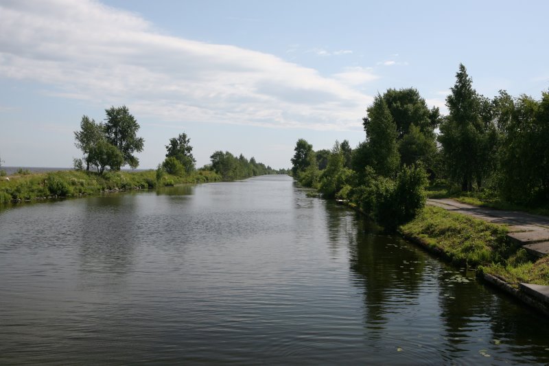 belozer48.jpg