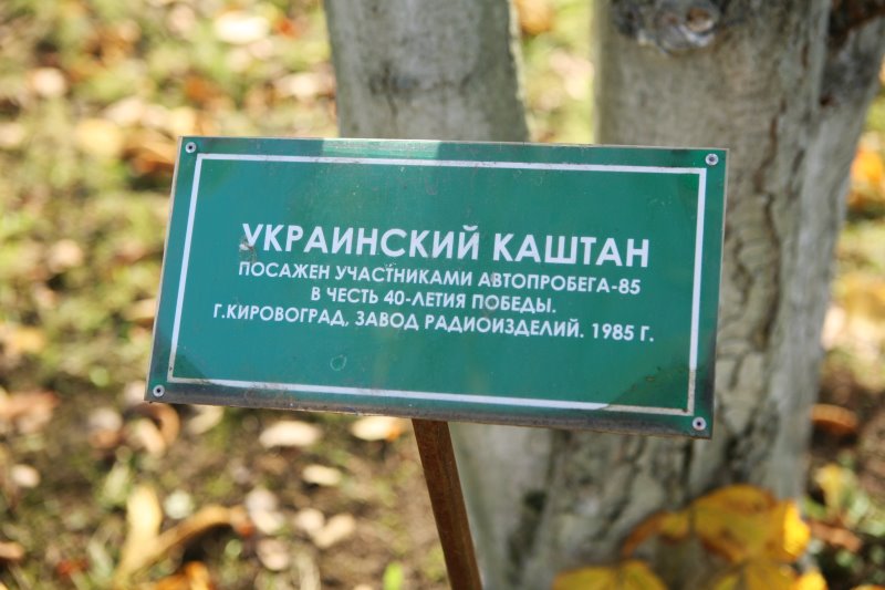 gagarin27.jpg