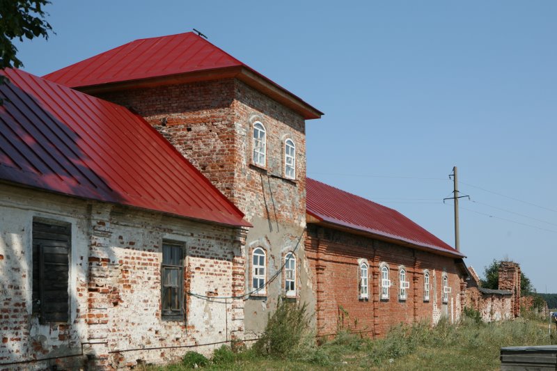 nilpus40.jpg