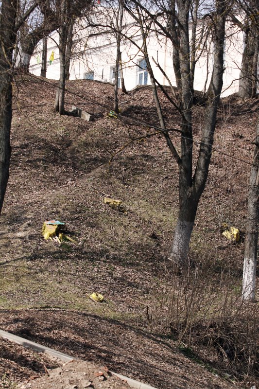 borovsk45.jpg