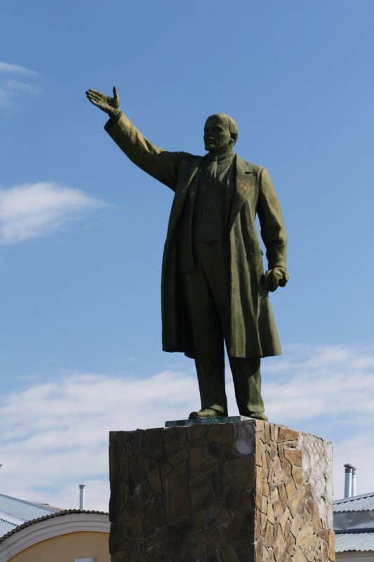 borpam17.jpg