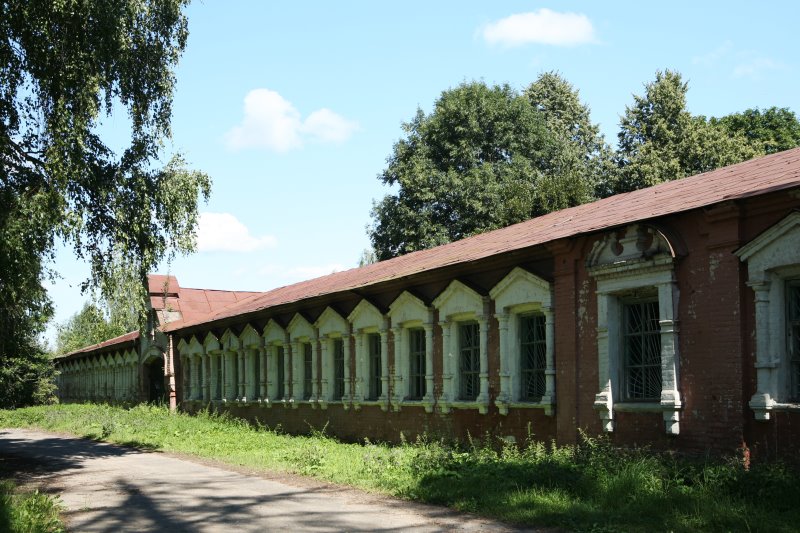 vysokoe24.jpg