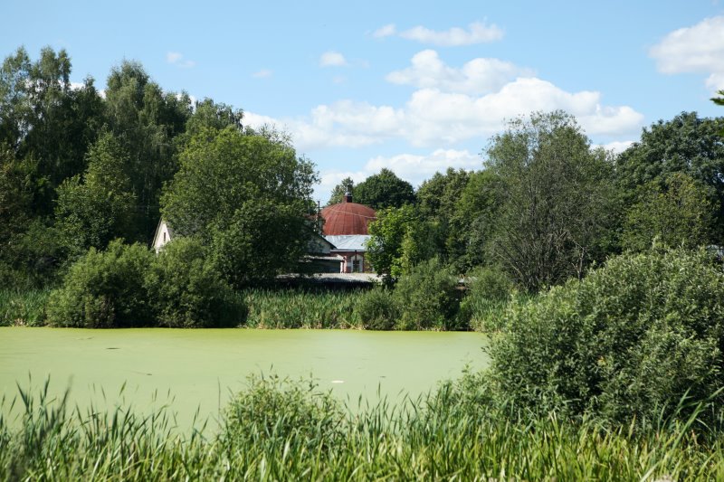 vysokoe27.jpg