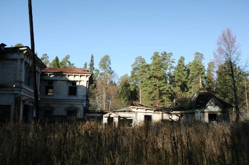 ivobl11.jpg