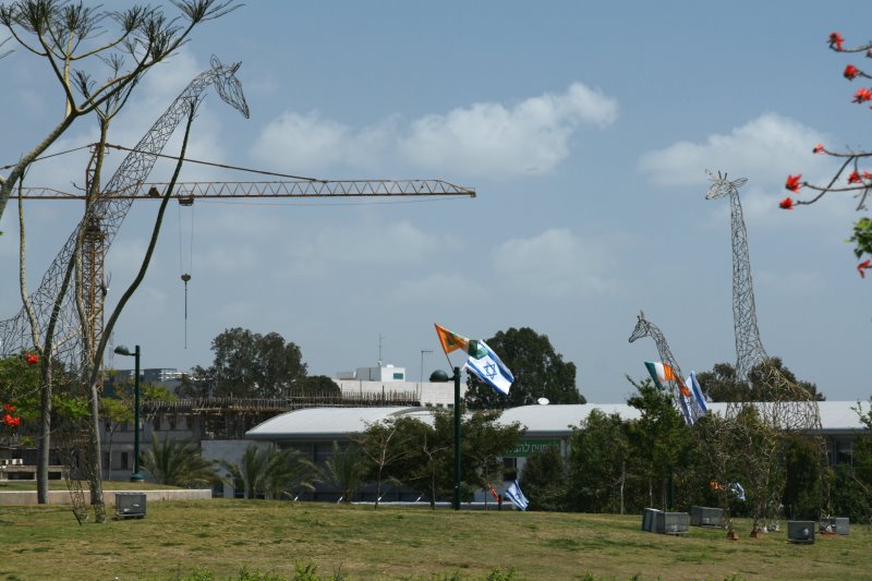 kstown34.jpg