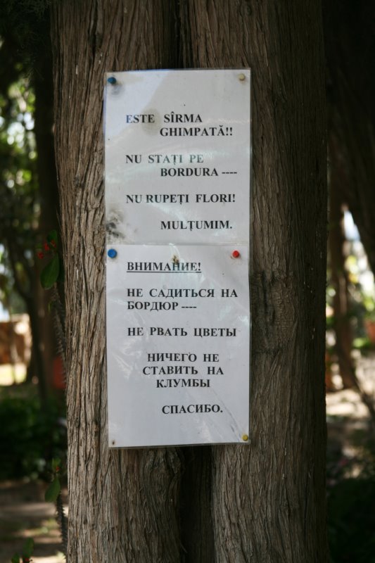 jerus17.jpg