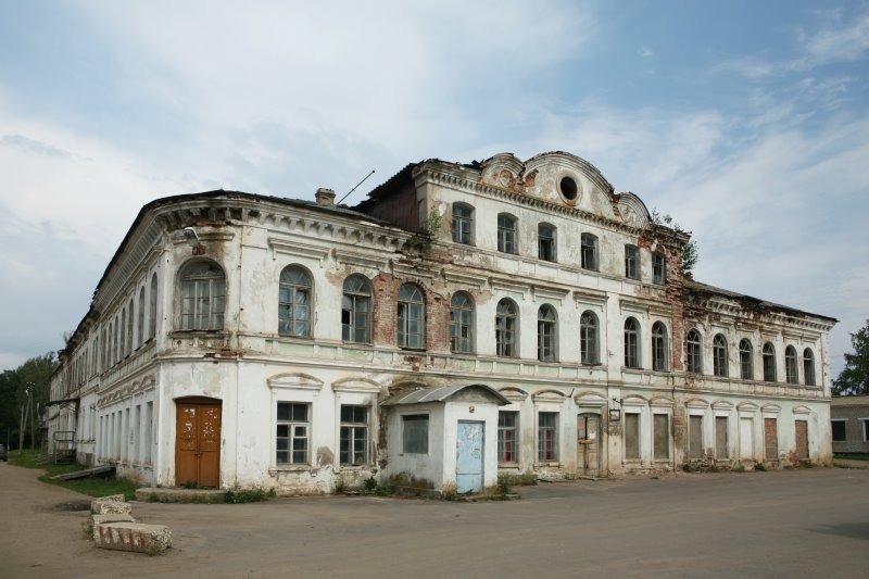 medved13.jpg