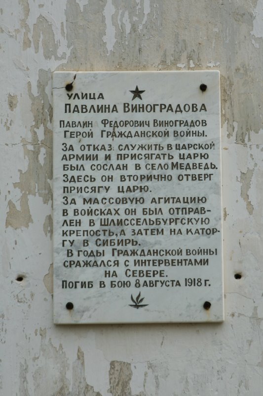 medved16.jpg