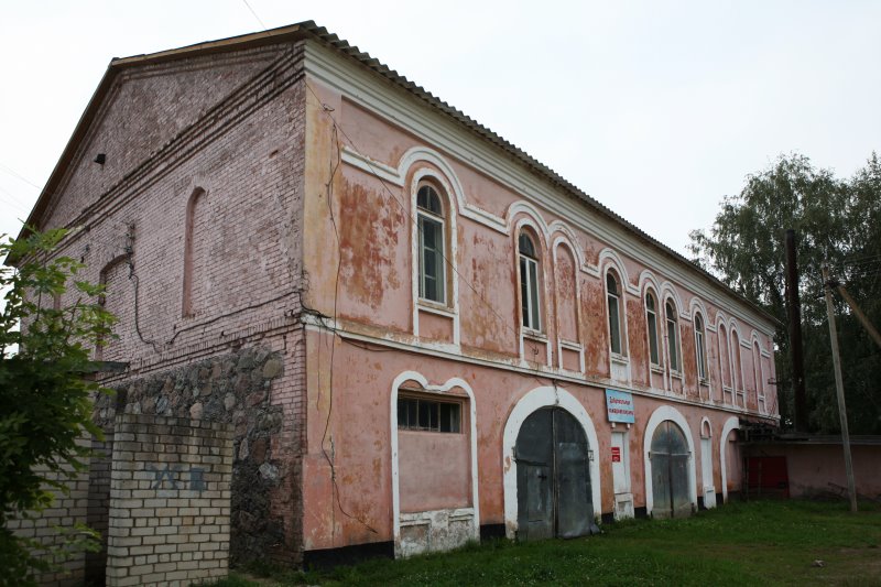 medved19.jpg