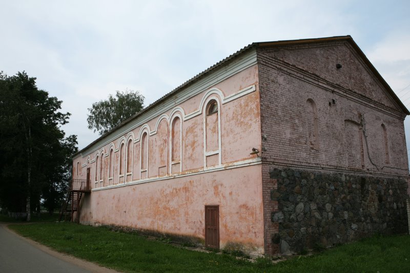 medved20.jpg