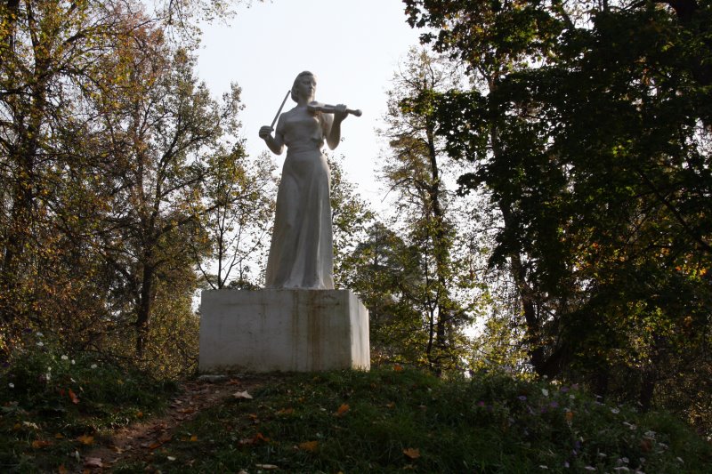 vyksa25.jpg