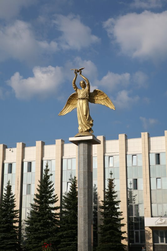 vyksa28.jpg