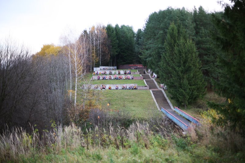 zubcov16.jpg