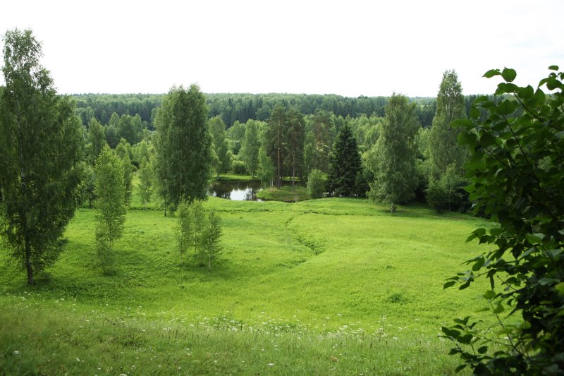 schelykovo18.jpg