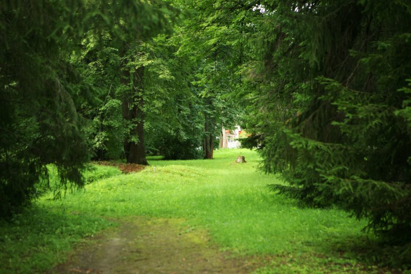 schelykovo19.jpg