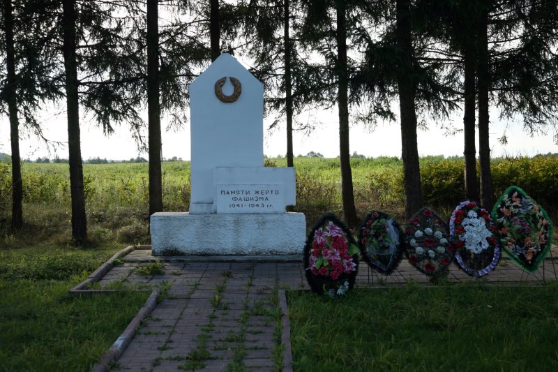 krasny23.jpg