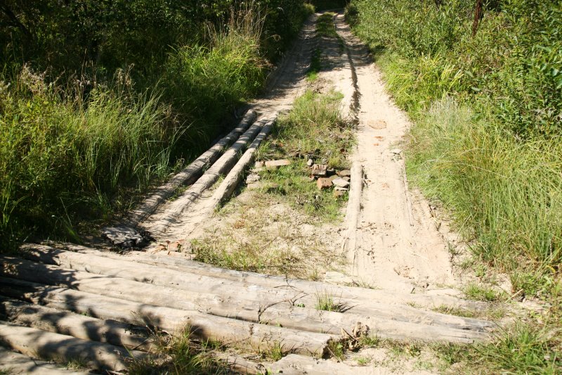 krasny26.jpg