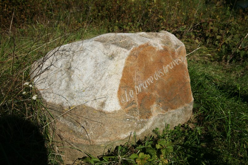 krasny29.jpg