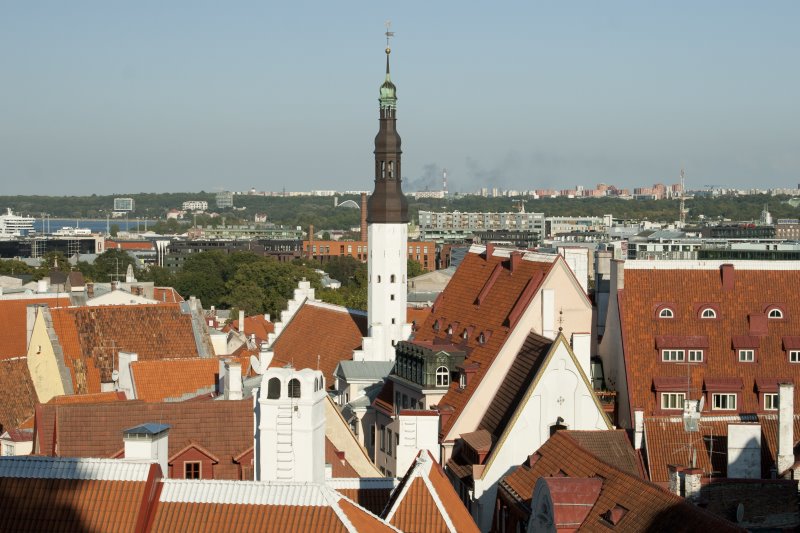 tallinroof04.jpg