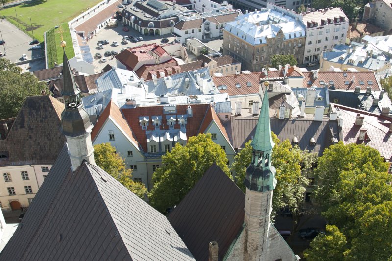 tallinroof28.jpg