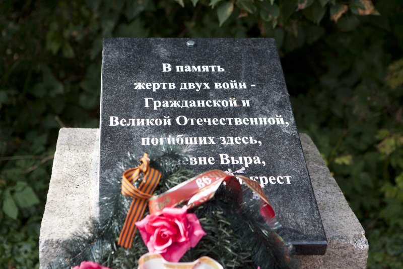 vyra26.jpg