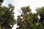 stc0035.jpg