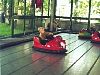 stacyzoo_11_08.jpg