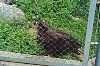 stacyzoo_14_05.jpg
